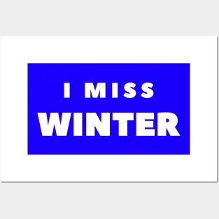 I MISS WINTER Posters and Art